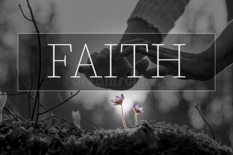 Texte de foi au-dessus des mains consolidant une fleur