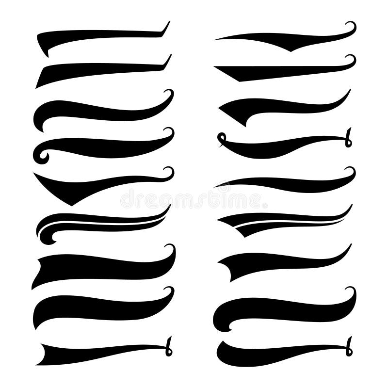 Calligraphic Swoosh Vector & Photo (Free Trial)