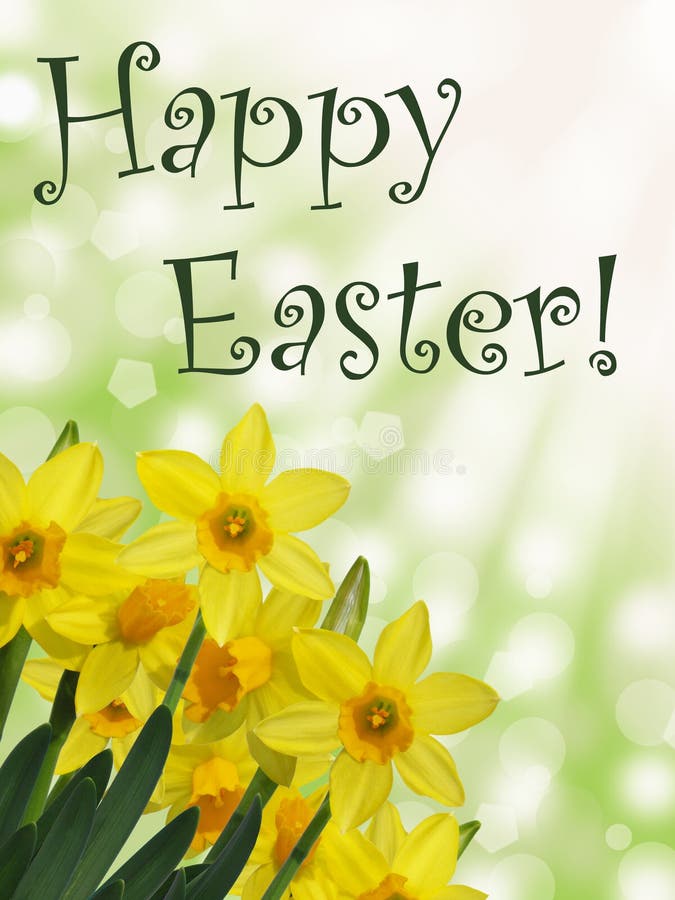 Happy easter text with yellow daffodil flowers and green sunny abstract bokeh background. Happy easter text with yellow daffodil flowers and green sunny abstract bokeh background
