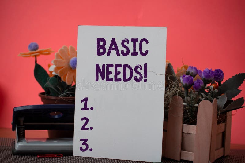 Text sign showing Basic Needs. Business photo showcasing measurement of absolute poverty in developing countries Flowers and writing equipments plus plain sheet above textured backdrop. Text sign showing Basic Needs. Business photo showcasing measurement of absolute poverty in developing countries Flowers and writing equipments plus plain sheet above textured backdrop