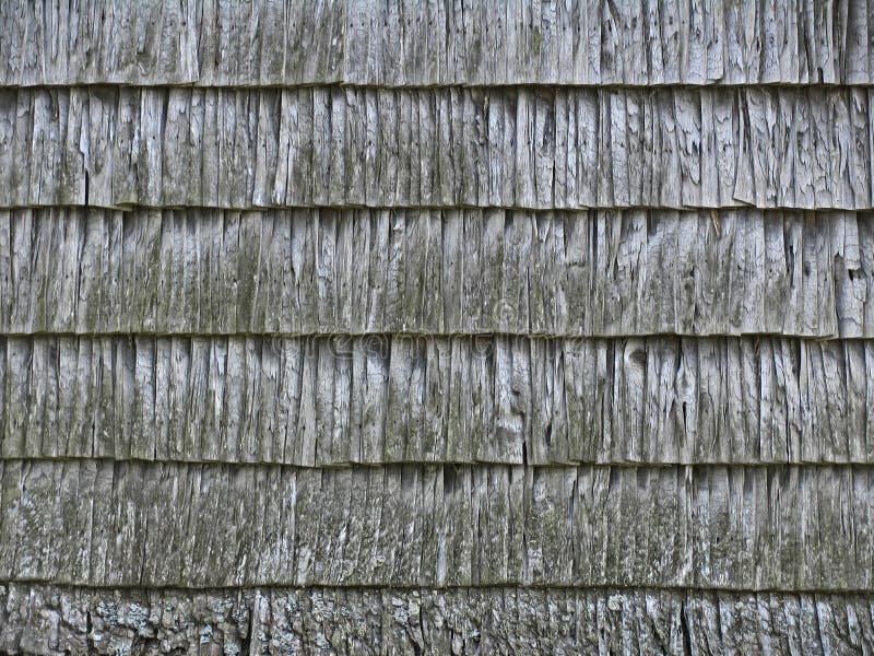 Textur av de gamla trächiperna arkivbilder Textur av de gamla trächiperna arkivbilder