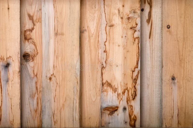 Textur av ett naturligt träd med en ovanlig struktur royaltyfri bild Textur av ett naturligt träd med en ovanlig struktur royaltyfri bild