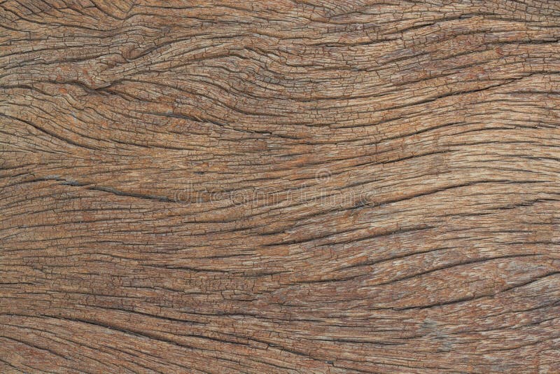 Textur av skället, wood kornbakgrund royaltyfri fotografi Textur av skället, wood kornbakgrund royaltyfri fotografi