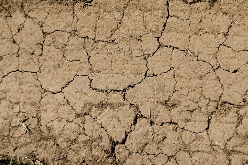 Texture of dry brown cracked earth. Lack of moisture on the soil, drought. The concept of dehydration land. Photo as wallpaper. Minimalistic background design. Place for text. Texture of dry brown cracked earth. Lack of moisture on the soil, drought. The concept of dehydration land. Photo as wallpaper. Minimalistic background design. Place for text