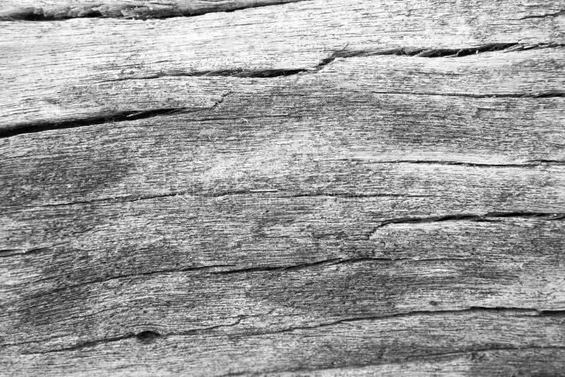 Textur av wood bruk för skället som naturlig bakgrund, yttersida eroderade b royaltyfria bilder Textur av wood bruk för skället som naturlig bakgrund, yttersida eroderade b royaltyfria bilder