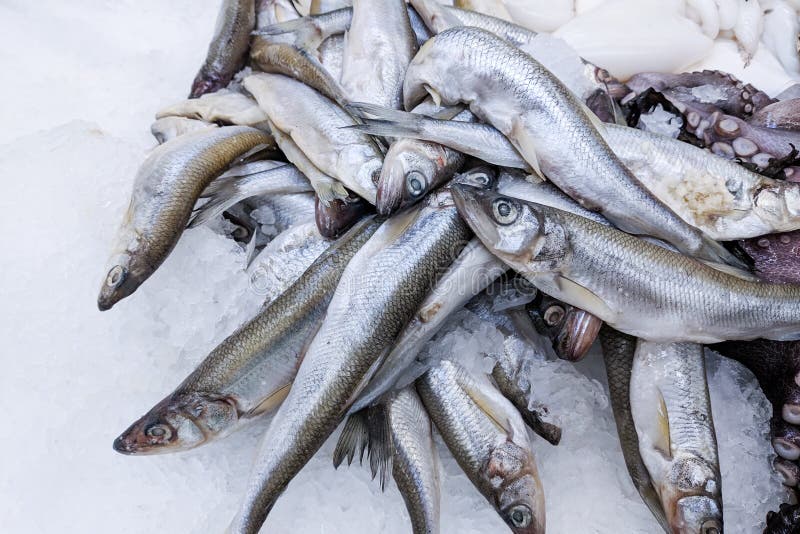 Close up, Fresh organic fishes sprat on ice on fresh market,  background. Sea fishes texture . A lot of organic sea sprat. Close up, Fresh organic fishes sprat on ice on fresh market,  background. Sea fishes texture . A lot of organic sea sprat