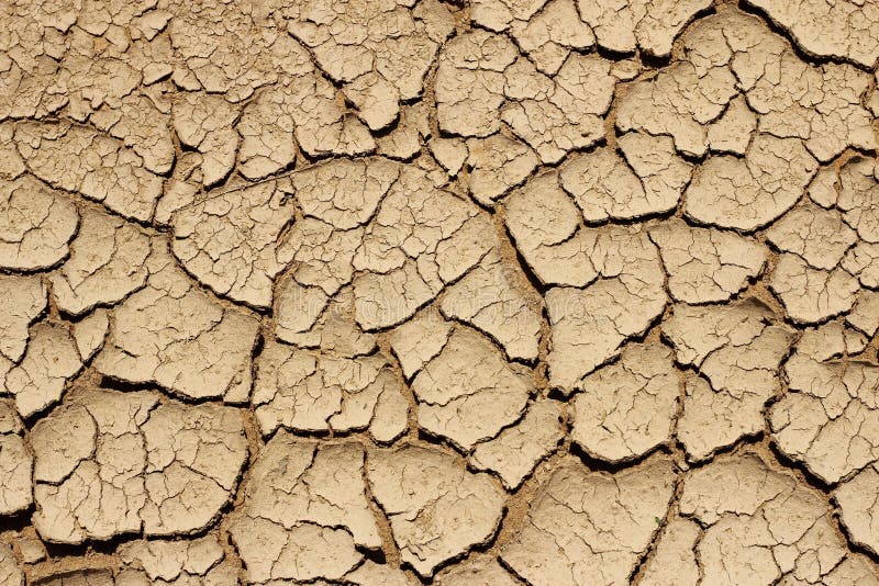 Textura A Terra Rachada Seca Do Detalhe Foto De Stock Imagem De Textura Terra 40080310