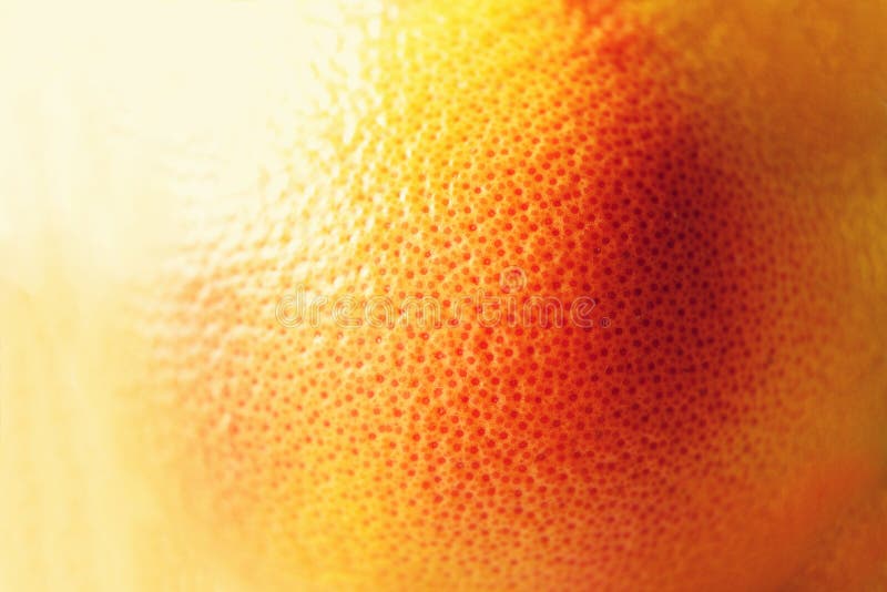 Textura da casca alaranjada brilhante fresca, close up, espaço da cópia Macro do fruto alaranjado Fundo dos citrinos fotografia de stock Textura da casca alaranjada brilhante fresca, close up, espaço da cópia Macro do fruto alaranjado Fundo dos citrinos fotografia de stock