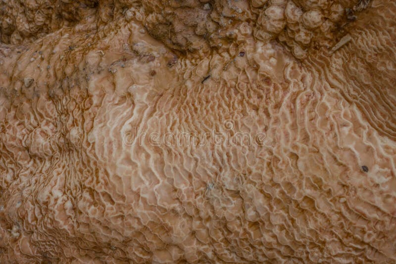 A textura da formação abstrata de pedra mineral, traverten foto de stock A textura da formação abstrata de pedra mineral, traverten foto de stock