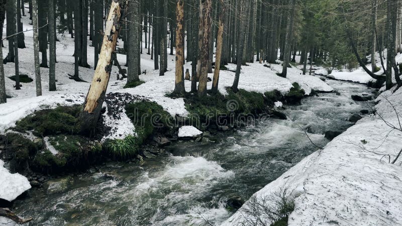 Textura de agua al aire libre. corriente de agua fuerte. flujo rápido con muchos rapidos de piedra