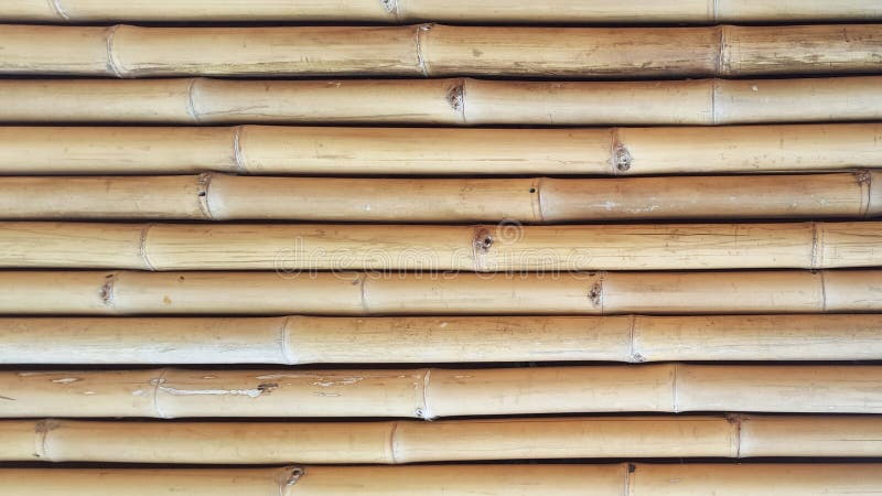Textura de bambu do close-up e sombras laterais com fundos naturais dos testes padrões para o designer gráfico, exterior interno imagem de stock royalty free Textura de bambu do close-up e sombras laterais com fundos naturais dos testes padrões para o designer gráfico, exterior interno imagem de stock royalty free