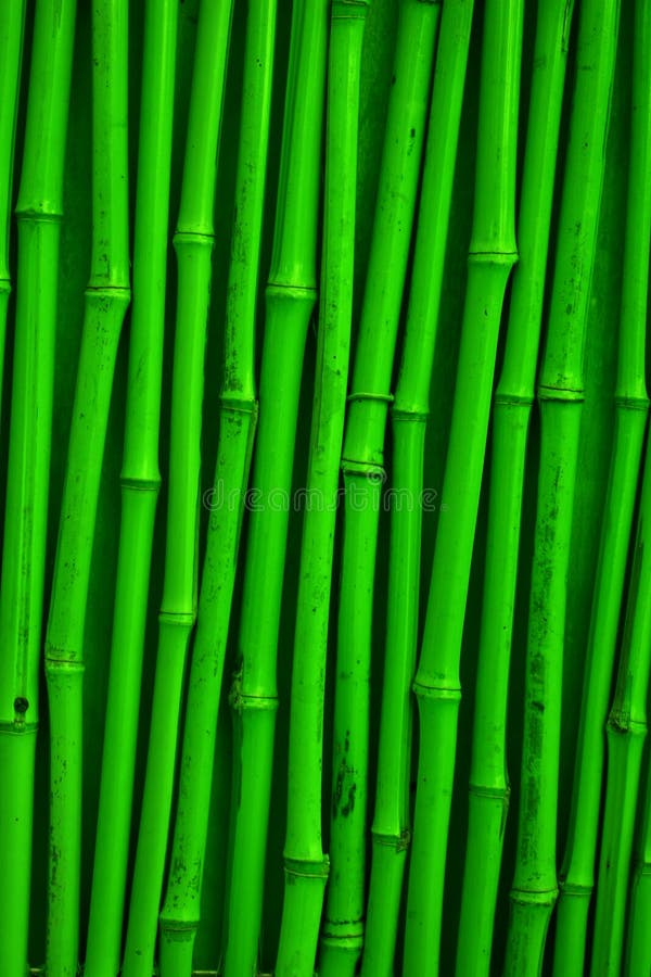 Textura verde de bambú stock de ilustración. Ilustración de verde
