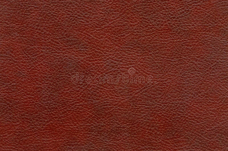 Desde altura productos quimicos Textura De La Piel, De Cuero Foto de archivo - Imagen de piel, fondo:  134009690