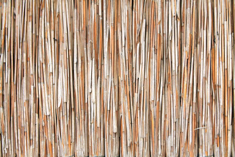 Textura de lámina imagen de archivo. Imagen de modelo - 15637817