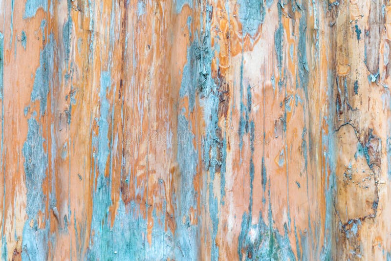 Textura de madeira ou fundo de madeira Textura de madeira antiga Pavimento de madeira abstrata de resga Textura de madeira vertic fotos de stock Textura de madeira ou fundo de madeira Textura de madeira antiga Pavimento de madeira abstrata de resga Textura de madeira vertic fotos de stock