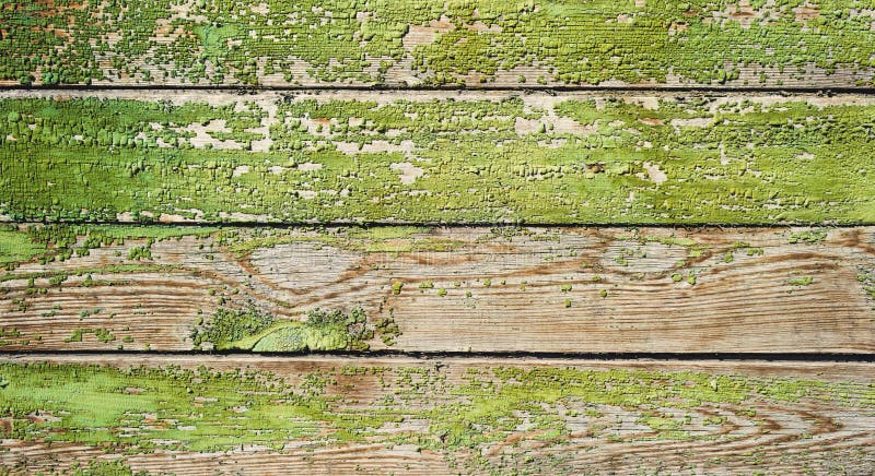 Textura de madeira pintada velha verde da porta como o fundo foto de stock Textura de madeira pintada velha verde da porta como o fundo foto de stock