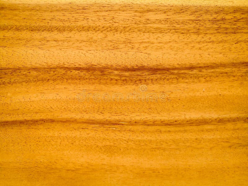 Textura de madeira velha da natureza fotos de stock Textura de madeira velha da natureza fotos de stock