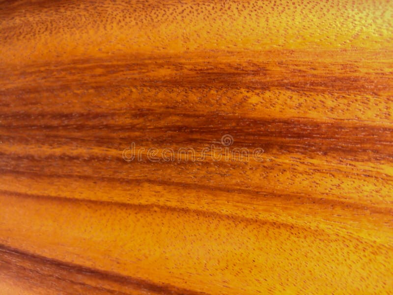 Textura de madeira velha da natureza imagens de stock Textura de madeira velha da natureza imagens de stock