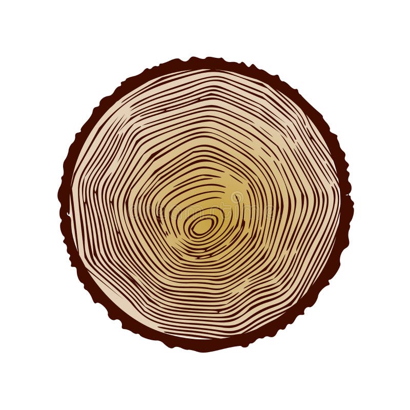 Vector Wood Texture Cross Section Tree Rings Cut Slice Brown Stump Isolated. Vector Wood Texture Cross Section Tree Rings Cut Slice Brown Stump Isolated