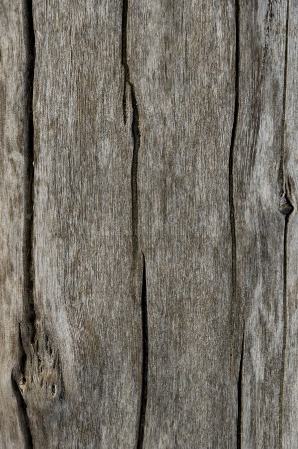 TEXTURA DE MADERA TEXTURA DE MADERA