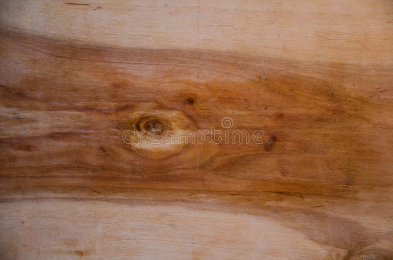 Textura de madera foto de archivo libre de regalías Textura de madera foto de archivo libre de regalías