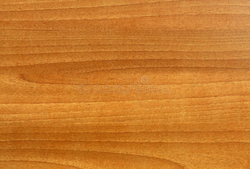 Textura de madera color café blanco. Textura de la sección de madera marrón claro procesada y pulida