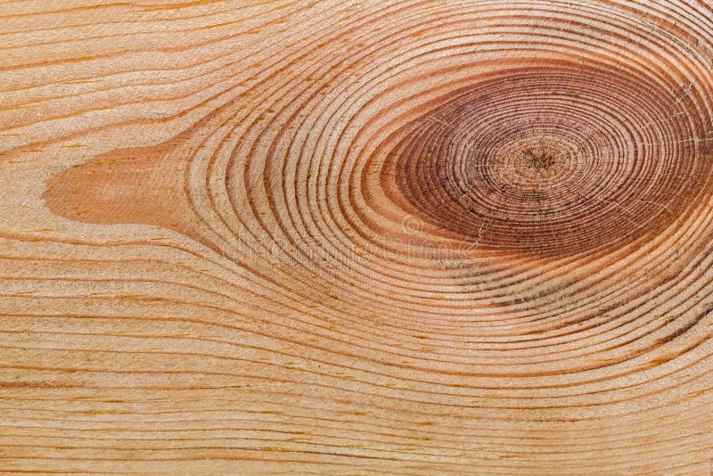 Textura de madera con el modelo natural imagen de archivo Textura de madera con el modelo natural imagen de archivo