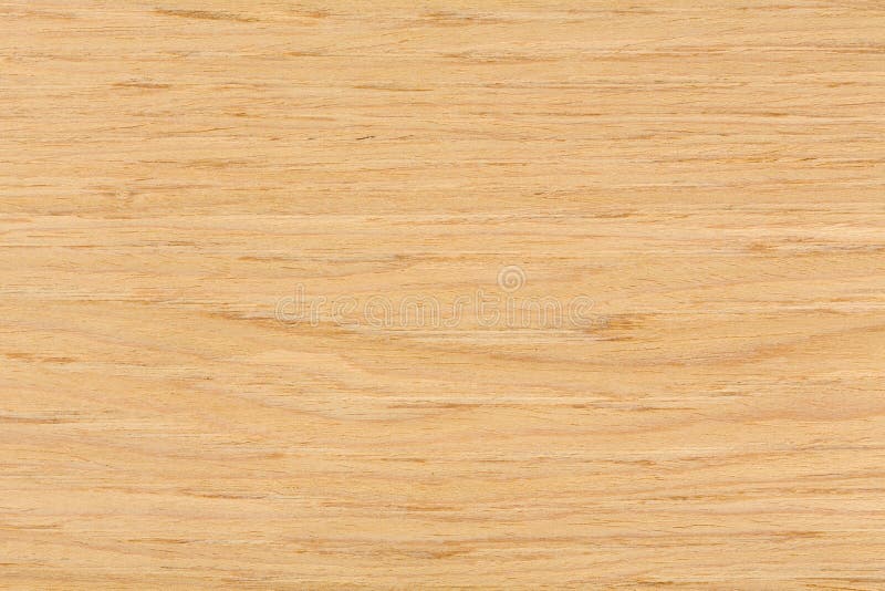 Oak wood texture with natural pattern. Extremely high resolution photo. Oak wood texture with natural pattern. Extremely high resolution photo.