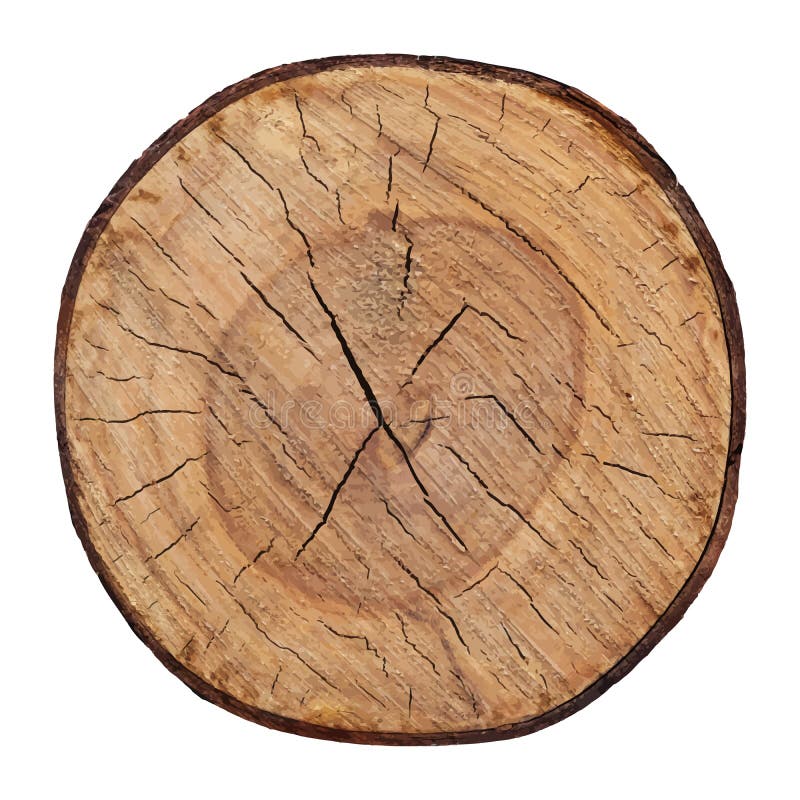 Textura De Madera Del Vector Cutted Del Tronco De árbol Stock de ilustración Ilustración de