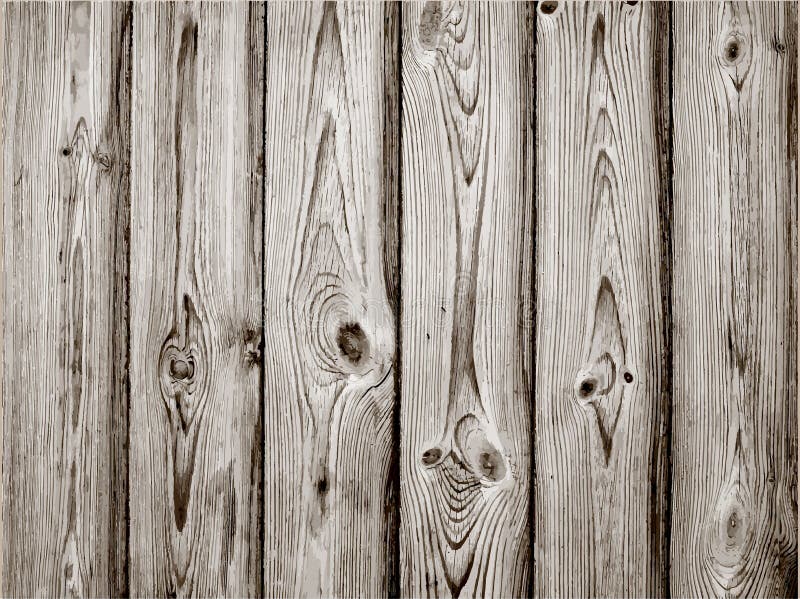 Grey wood plank texture for background. Vector illustration. Grey wood plank texture for background. Vector illustration.