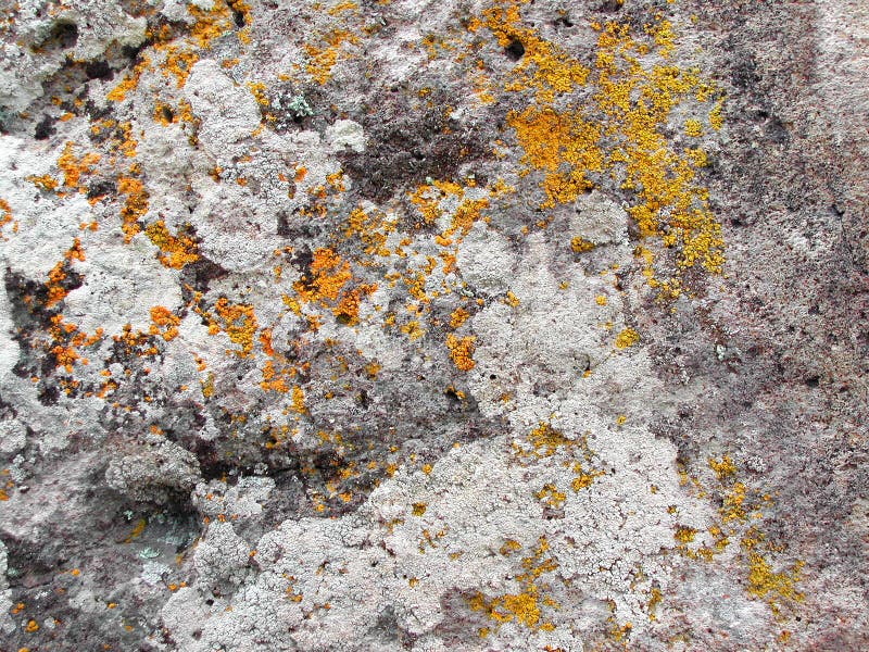 Textura de pedra fotos de stock royalty free