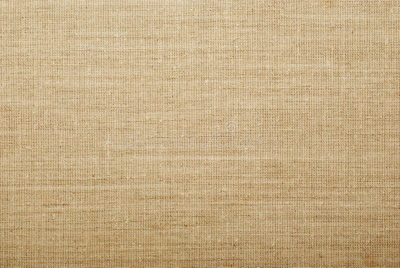 Textura de serapilheira fotografia de stock royalty free Textura de serapilheira fotografia de stock royalty free