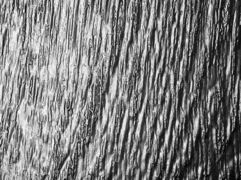 A textura de uma árvore coberta com o ouro fotos de stock A textura de uma árvore coberta com o ouro fotos de stock