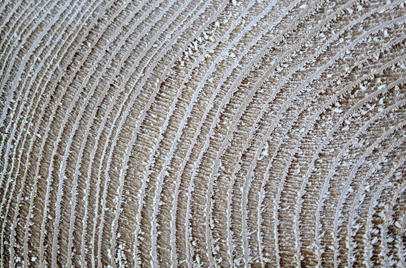 Textura de una tira arqueada de madera en un corte imágenes de archivo libres de regalías Textura de una tira arqueada de madera en un corte imágenes de archivo libres de regalías
