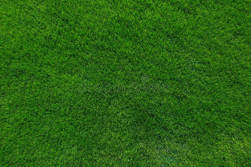 Textura del fondo de la hierba verde