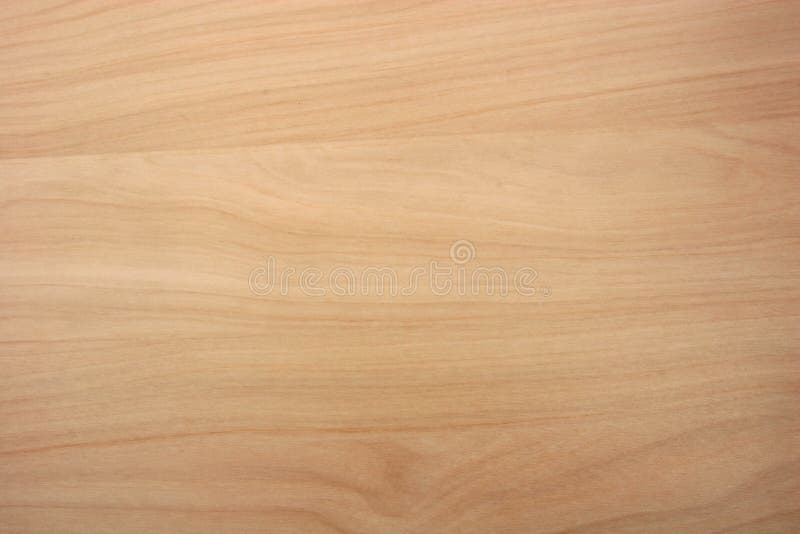 Taiga birch wood grain texture pattern background. Taiga birch wood grain texture pattern background