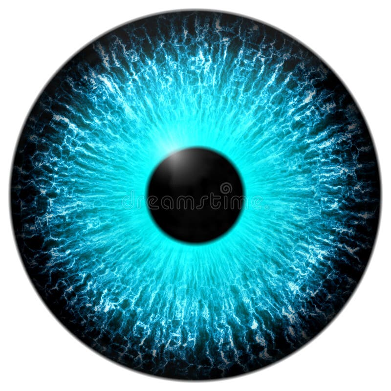 Blue eye texture with black fringe and white background. Blue eye texture with black fringe and white background