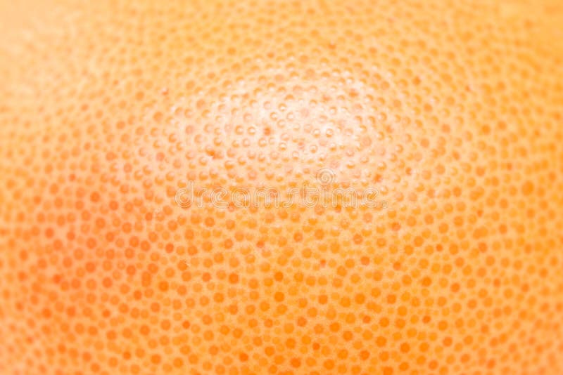 Textura del pomelo rosado foto de archivo libre de regalías Textura del pomelo rosado foto de archivo libre de regalías