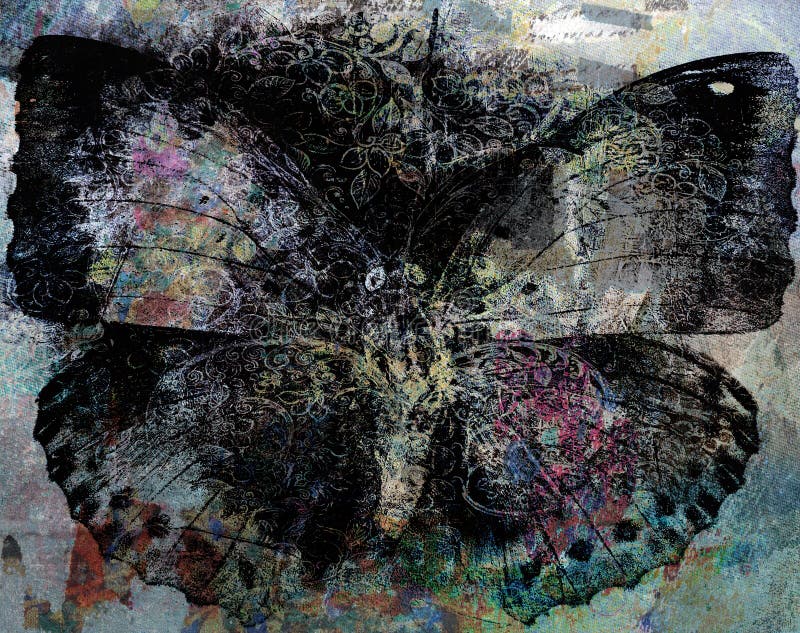 Grunge butterfly background texture background. Grunge butterfly background texture background