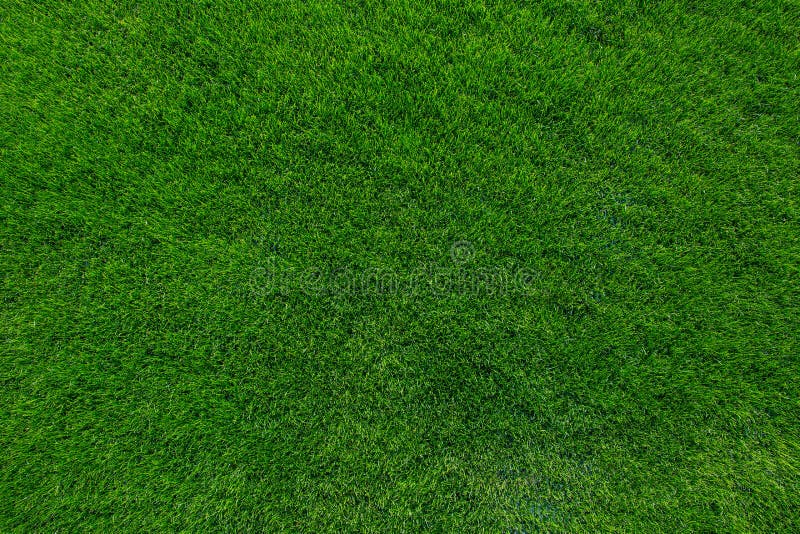 Textura do fundo da grama verde imagem de stock royalty free Textura do fundo da grama verde imagem de stock royalty free