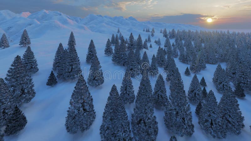 Textura forestal Árbol de Navidad Fondo azul Fondo de la temporada de invierno Tarjeta navideña azul cielo Textura helada congela