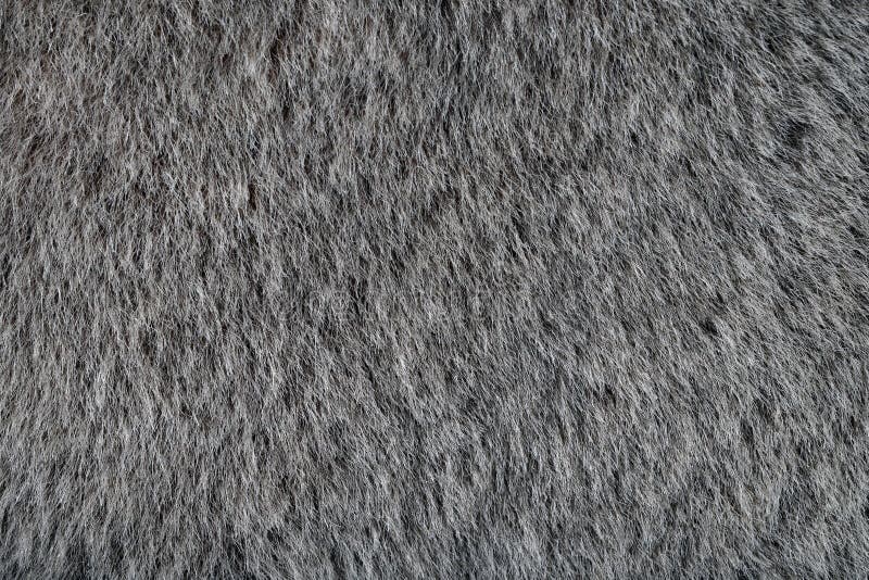 Textura gris animal de la piel