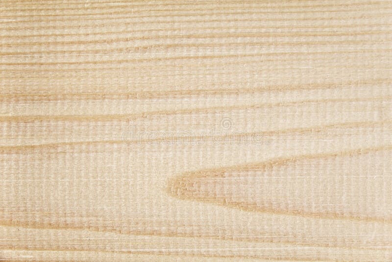 Spatola Leggera Modax Quilosa Modellismo 3x250 Ml Per Legno - Foto 4