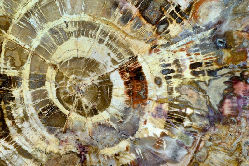 Textura mineral abstracta imagen de archivo Textura mineral abstracta imagen de archivo