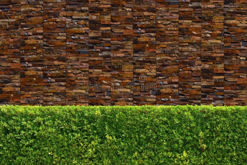 Textura de vedação de parede verde com árvores fotografia de stock royalty free