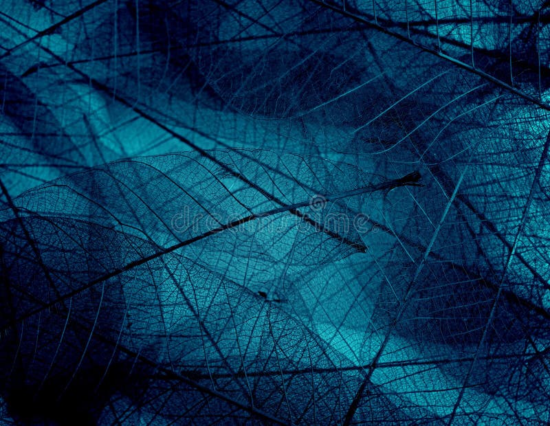 Texturas en colores frescos fotografía de archivo Texturas en colores frescos fotografía de archivo