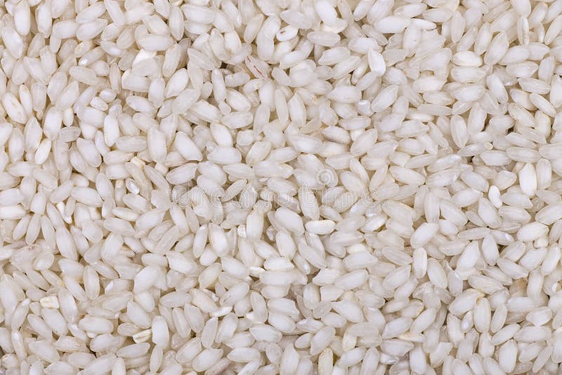 Texture Background of Arborio Rice Stock Photo Image of risotto