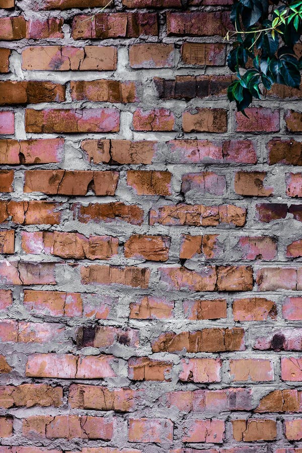 Texture and background (brick wall)