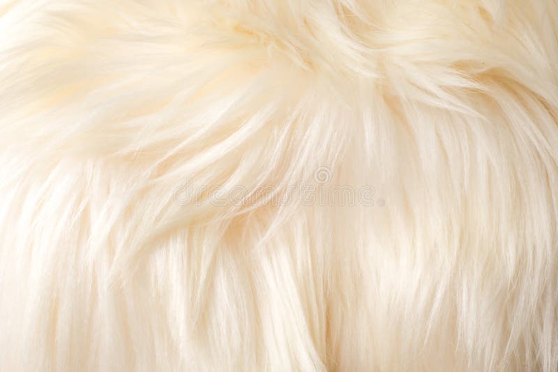 Yak Hair Texture Stock Photos - Free & Royalty-Free Stock Photos from  Dreamstime