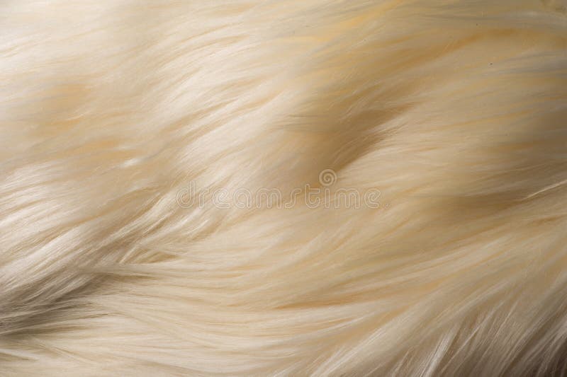 Yak Hair Texture Stock Photos - Free & Royalty-Free Stock Photos from Dreamstime Yak Hair Texture Stock Photos - Free & Royalty-Free Stock Photos from Dreamstime